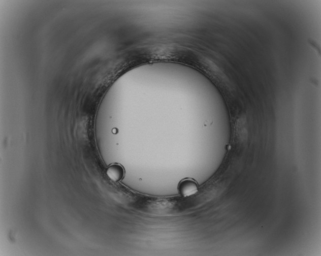 X0000103900217200809191246