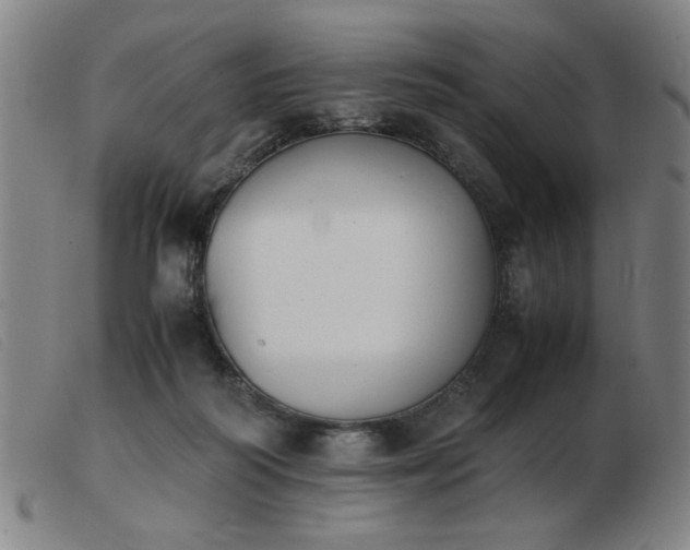 X0000103900218200809191246