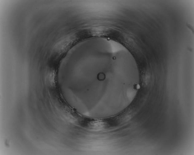 X0000103900219200809191246