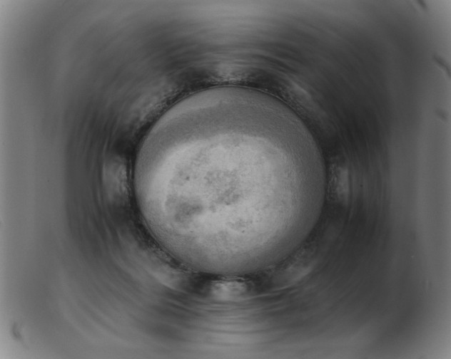 X0000103900220200809191246