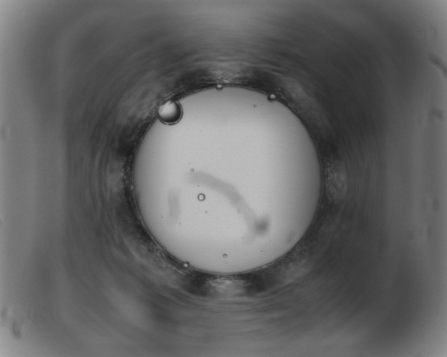 X0000103900221200809191246