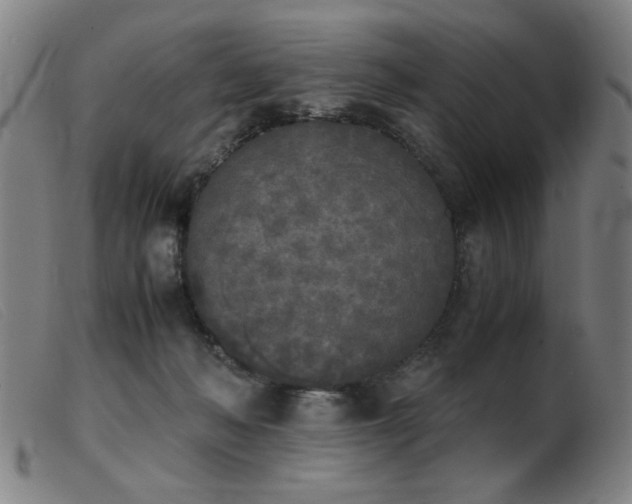 X0000103900222200809191246