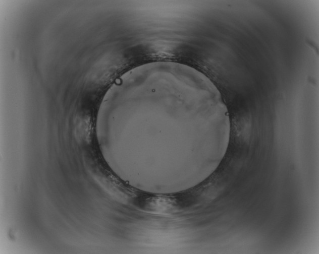 X0000103900223200809191246