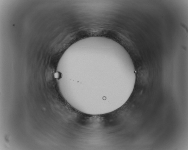 X0000103900225200809191246