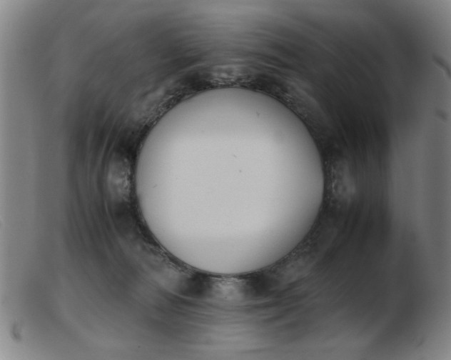 X0000103900226200809191246