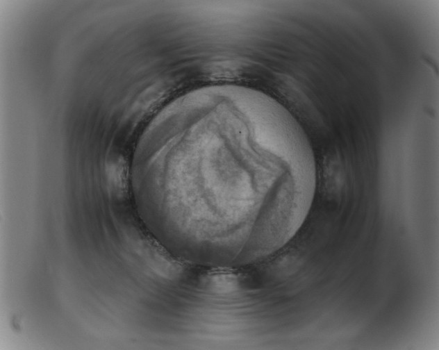 X0000103900228200809191246