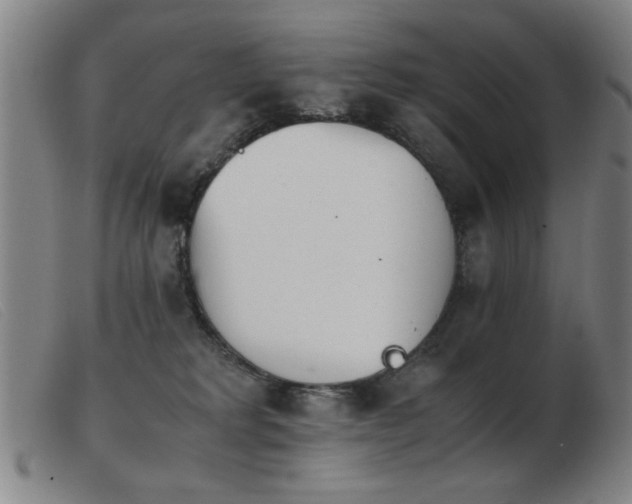 X0000103900229200809191246