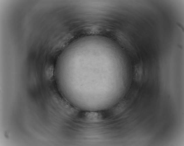 X0000103900230200809191246