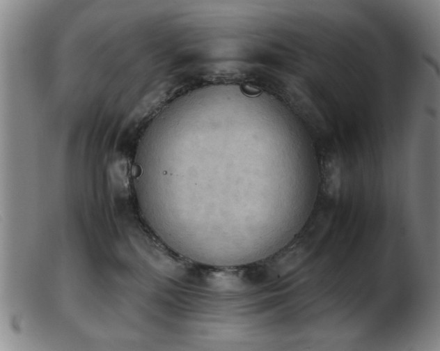 X0000103900232200809191246