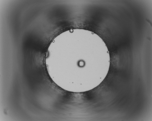 X0000103900233200809191246