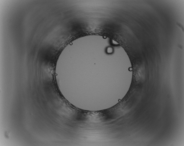 X0000103900235200809191246