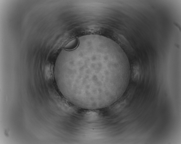 X0000103900236200809191246