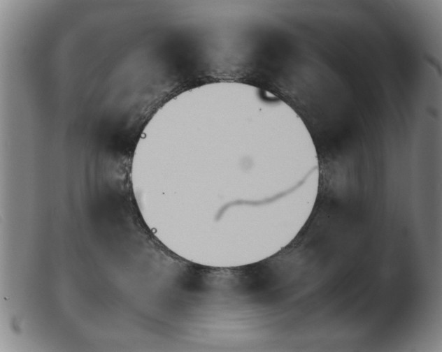 X0000103900237200809191246