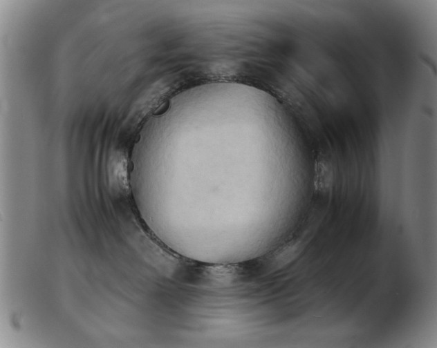 X0000103900238200809191246