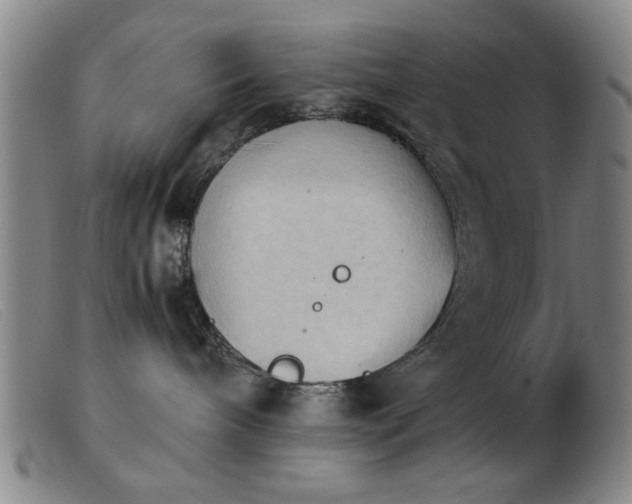 X0000103900240200809191246