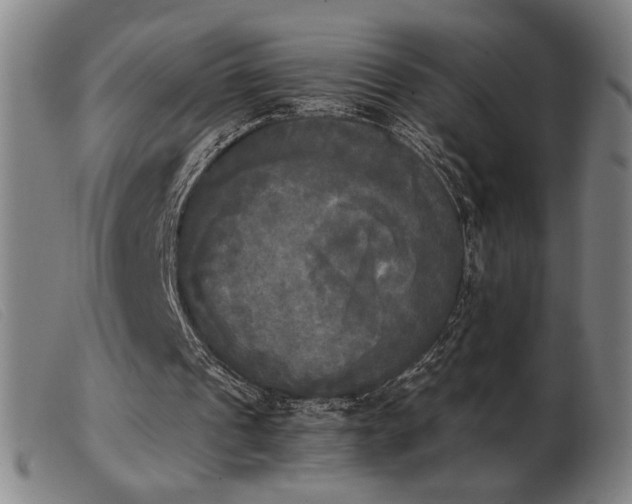 X0000103900241200809191245