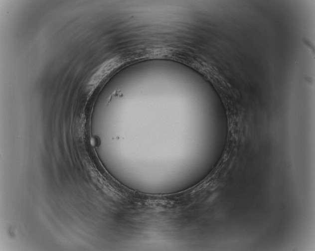 X0000103900242200809191245
