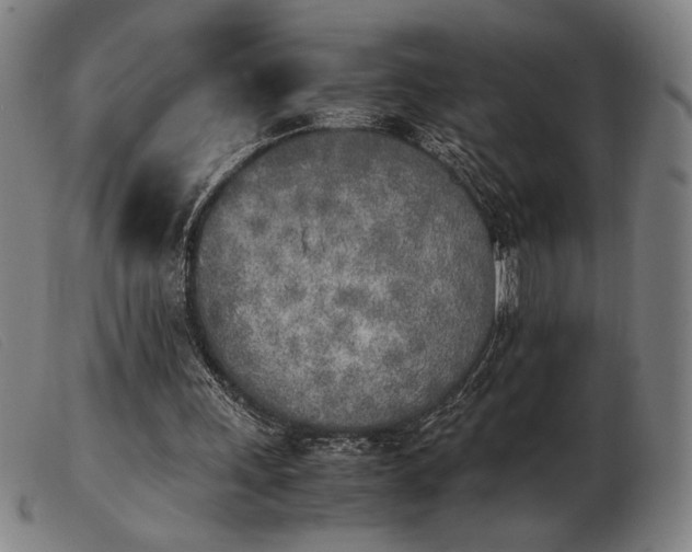 X0000103900243200809191245