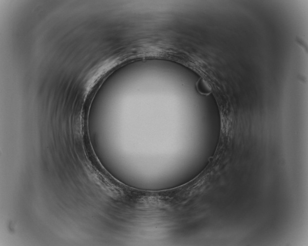 X0000103900244200809191245