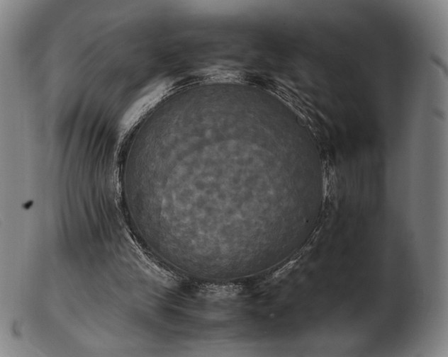 X0000103900245200809191245