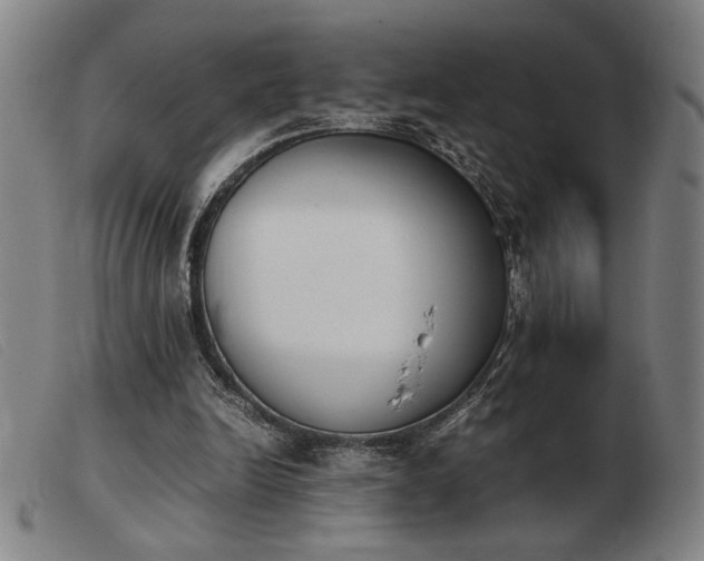 X0000103900246200809191245