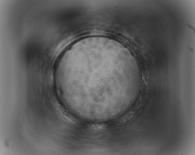 X0000103900247200809191245