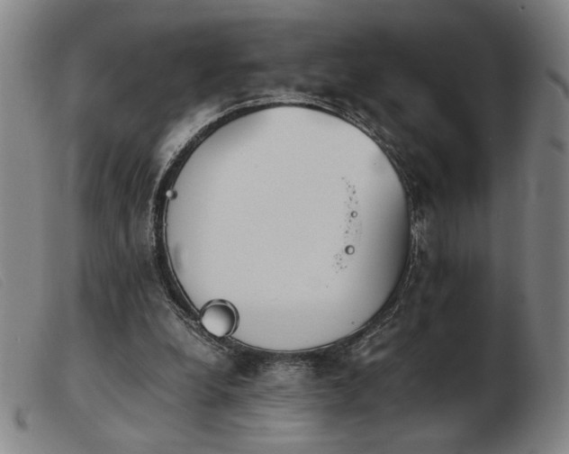 X0000103900248200809191245