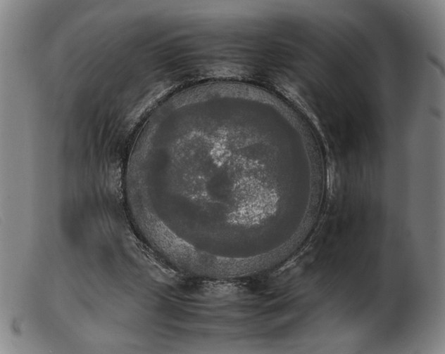 X0000103900249200809191245