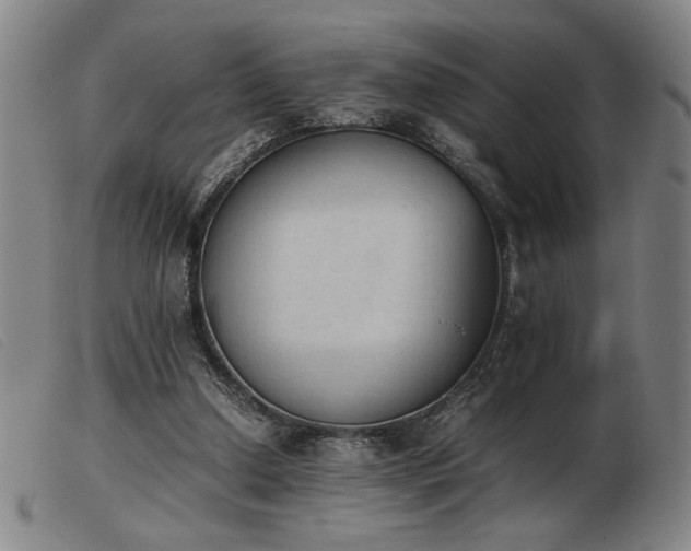 X0000103900250200809191245