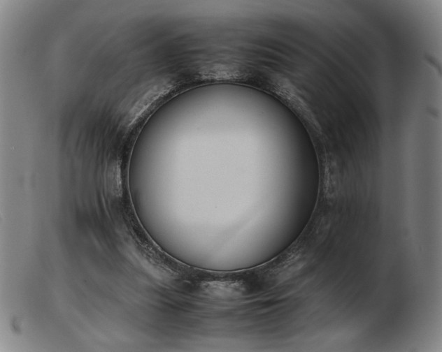 X0000103900251200809191245