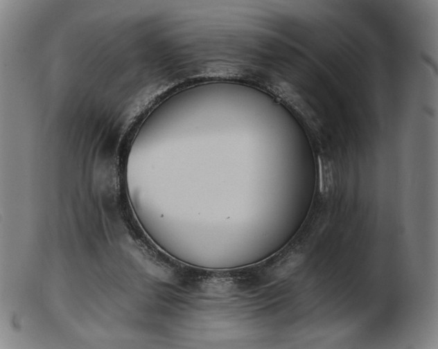 X0000103900252200809191245