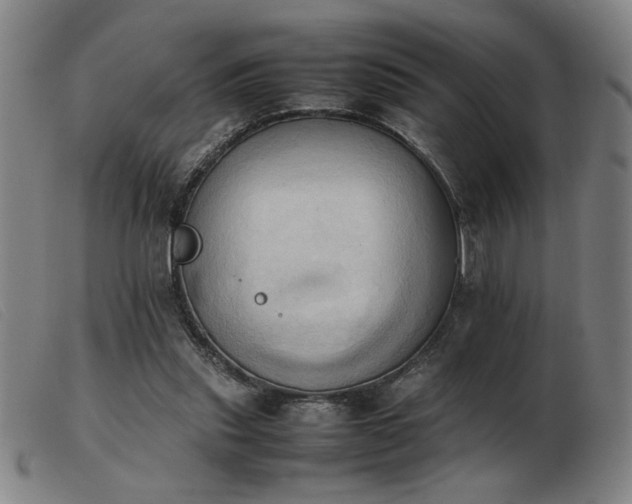 X0000103900253200809191245