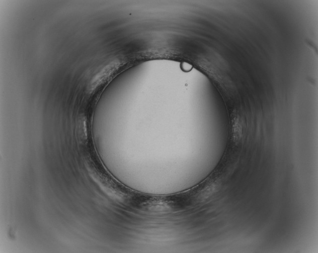 X0000103900254200809191245