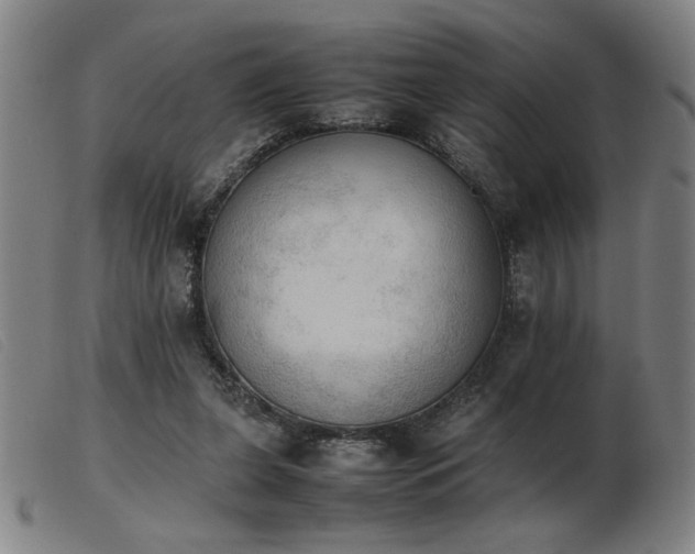 X0000103900255200809191245