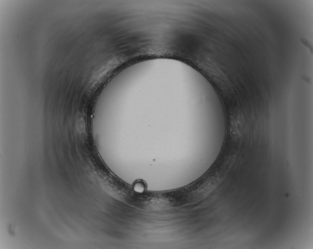 X0000103900256200809191245