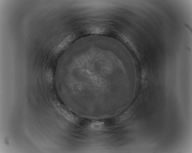 X0000103900257200809191245