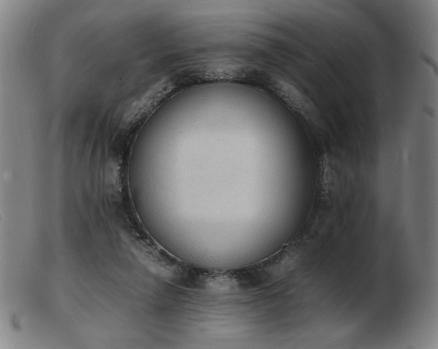X0000103900258200809191245
