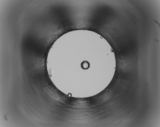 X0000103900260200809191245