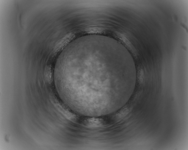 X0000103900261200809191245