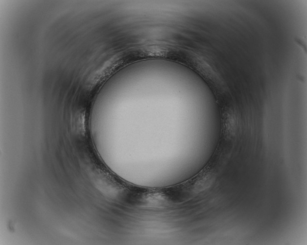 X0000103900262200809191245