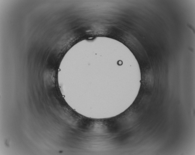 X0000103900264200809191245