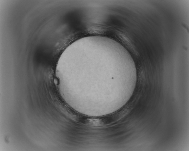 X0000103900265200809191246