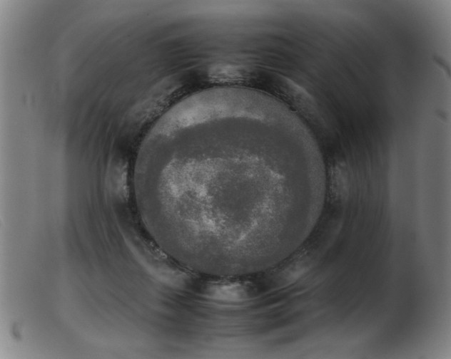 X0000103900267200809191246