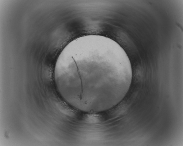 X0000103900268200809191246