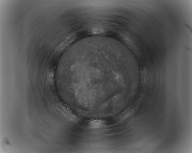 X0000103900269200809191246