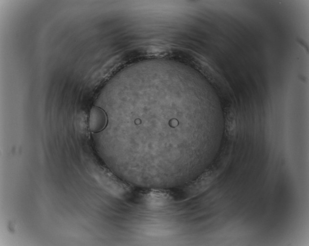 X0000103900270200809191246