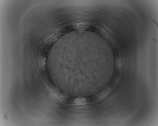 X0000103900271200809191246
