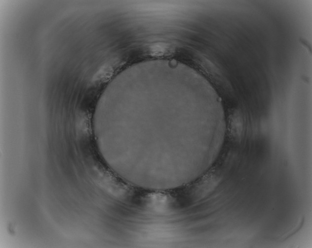 X0000103900272200809191246