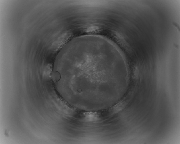 X0000103900273200809191246