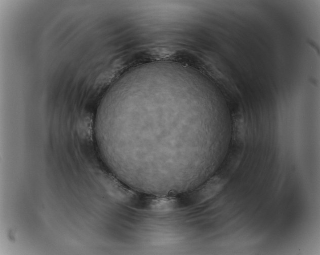 X0000103900274200809191246